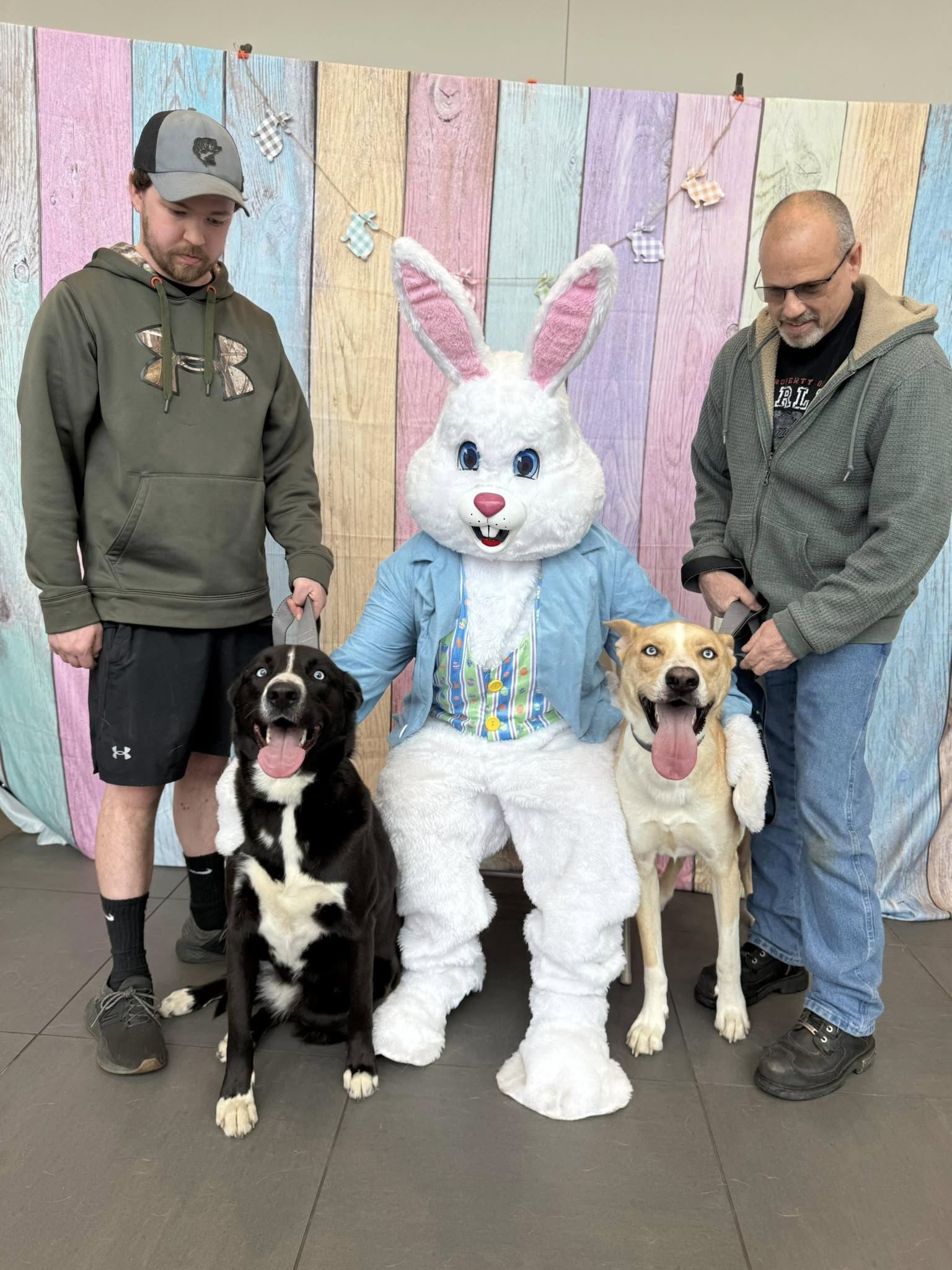 Kenny Ross Cares - Cross Your Paws Easter Bunny